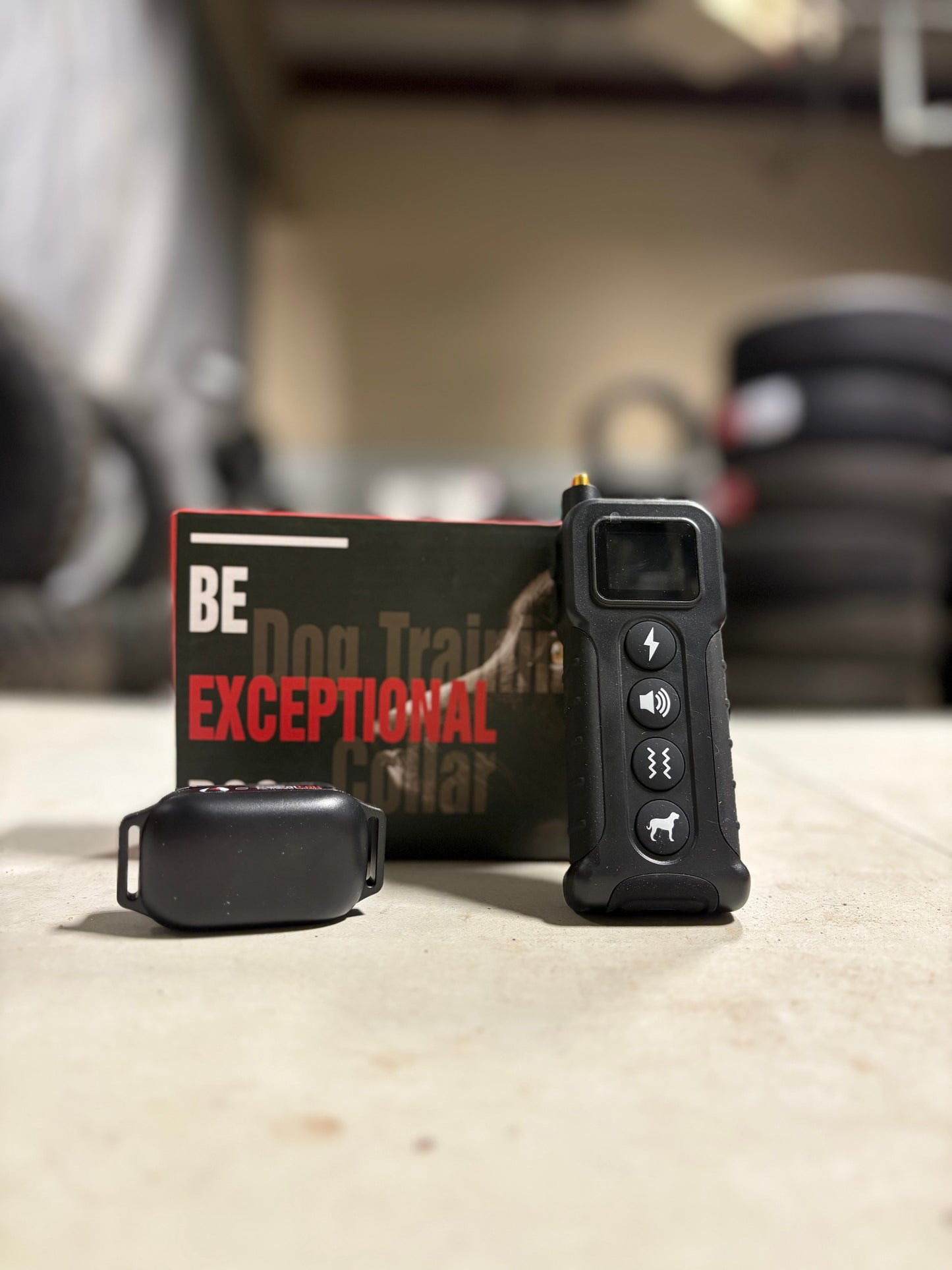 Dog E-Collar